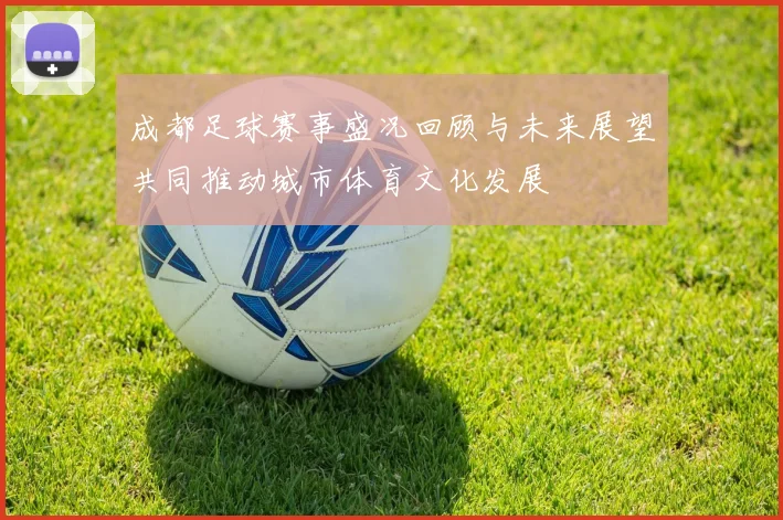 成都足球赛事盛况回顾与未来展望共同推动城市体育文化发展