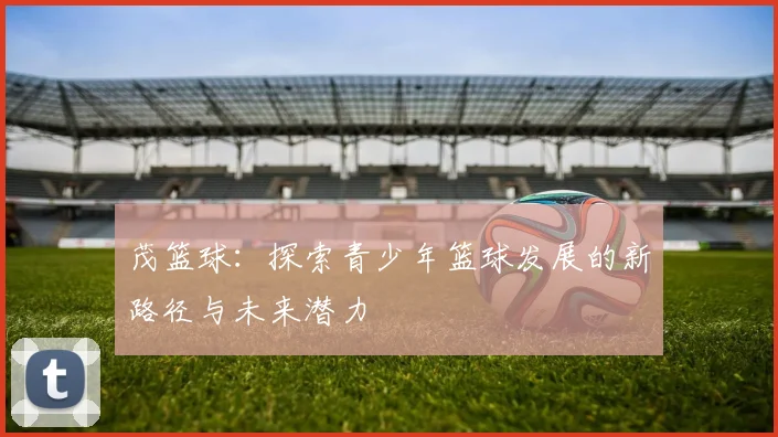 茂篮球：探索青少年篮球发展的新路径与未来潜力