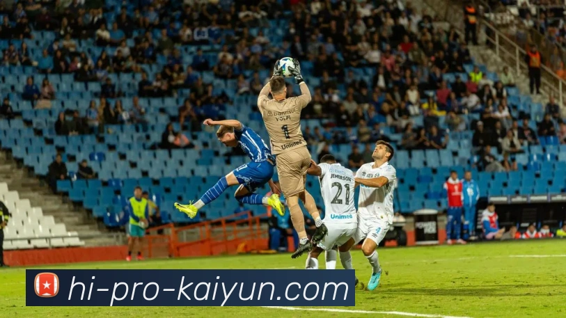 官方登录平台生态图